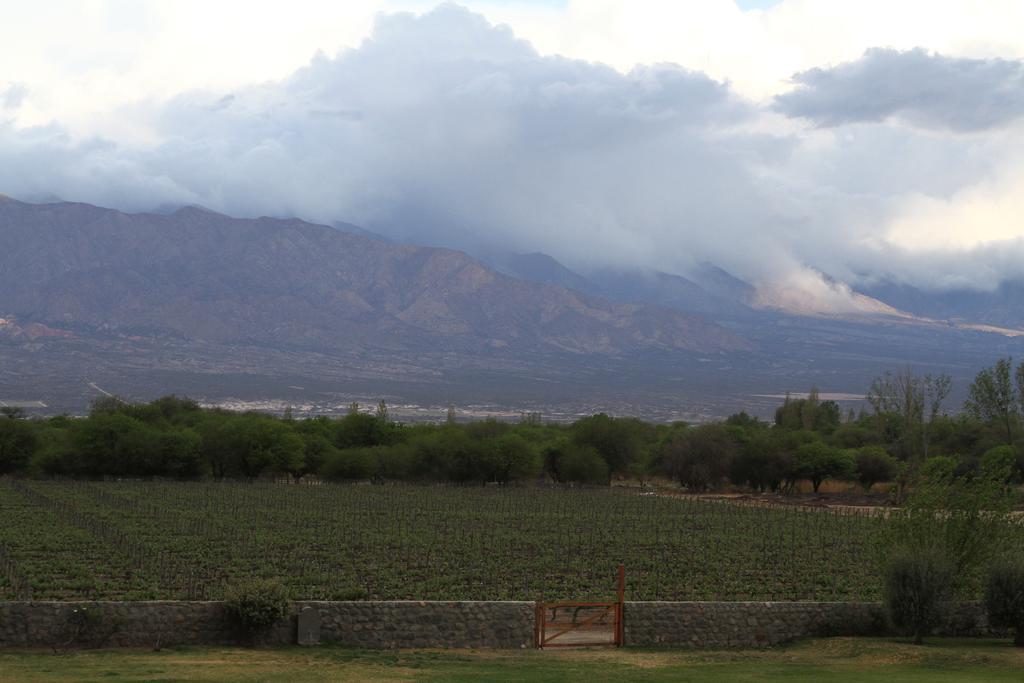Patios De Cafayate - Wine Hotel & Restaurant Exterior photo