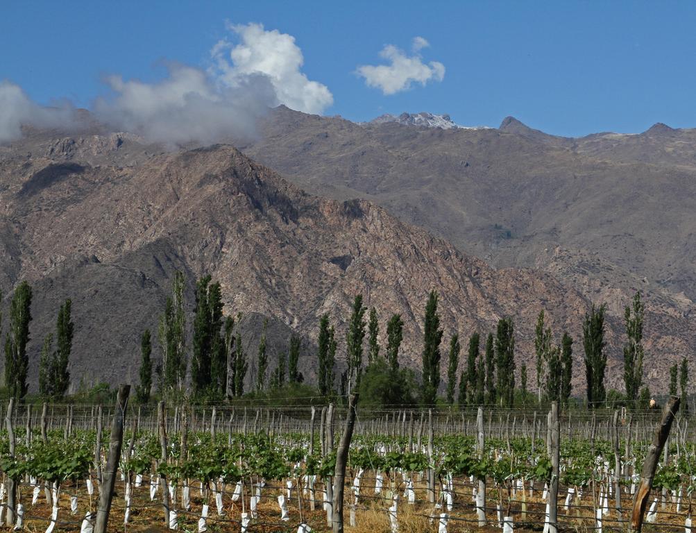 Patios De Cafayate - Wine Hotel & Restaurant Exterior photo